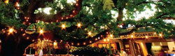 Neutral Bay NSW Accommodation Brisbane