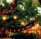 The Oaks - Accommodation Brisbane