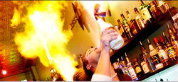 Universal Bar - Accommodation Brisbane 0