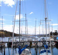 Oyster Cove Inn - Accommodation Brisbane