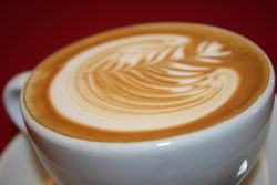  Accommodation Brisbane