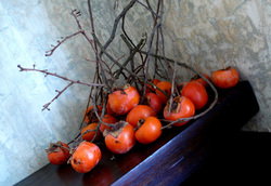 Von Haus - Accommodation Brisbane 1