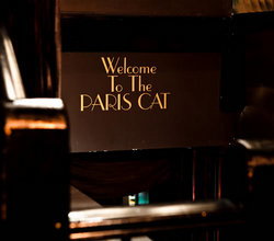 Paris Cat - Accommodation Brisbane 1