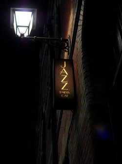 Paris Cat - Accommodation Brisbane 2