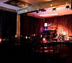 Paris Cat - Accommodation Brisbane 3