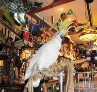 A Friend In Hand - Accommodation Brisbane