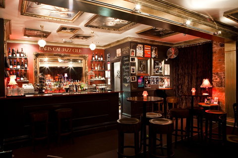 Paris Cat - Accommodation Brisbane 5