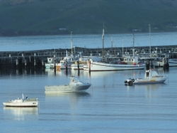 Apollo Bay VIC Accommodation Brisbane