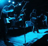 Fly By Night Musicians Club - Accommodation Brisbane