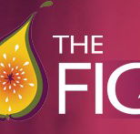 Wild Fig - Accommodation Brisbane