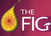 Wild Fig - Accommodation Brisbane 0