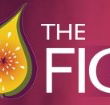 Naked Fig - Accommodation Brisbane