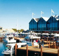 Kailis Fish Market Cafe - Accommodation Brisbane