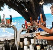 Quokka Arms - Accommodation Brisbane