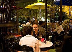 Treehouse Hotel - Accommodation Brisbane 0