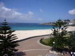 Aquarium - Accommodation Brisbane 2