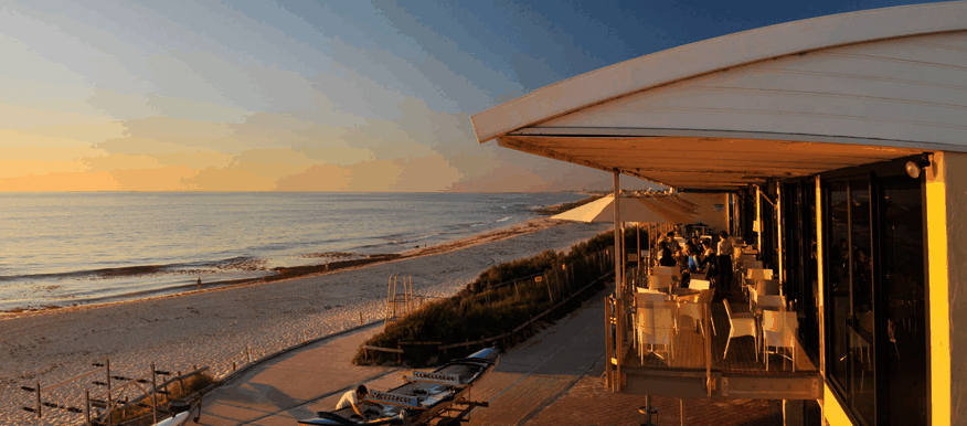 Blue Duck - Accommodation Brisbane