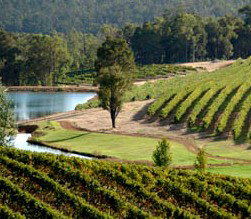 Brookhampton Estate Vineyard - Accommodation Brisbane 0