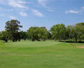 Singleton Golf Club - Accommodation Brisbane 1
