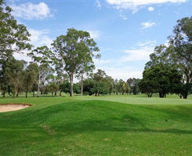 Singleton Golf Club - Accommodation Brisbane 0