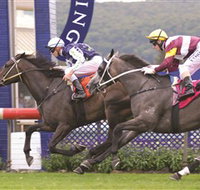 Gosford Race Club - Accommodation Brisbane