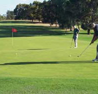 Waikerie Golf Club - Accommodation Brisbane