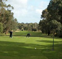 Mount Gambier Golf Club - Accommodation Brisbane