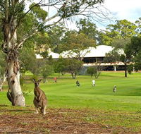 Pambula Merimbula Golf Club - Accommodation Brisbane