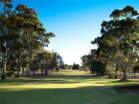 Pata SA Accommodation Brisbane