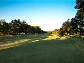 Loxton Golf Club - Accommodation Brisbane 2
