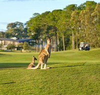 Sanctuary Cove Golf and Country Club - Accommodation Brisbane