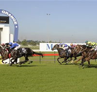 Kembla Grange Racecourse - Illawarra Turf Club - Accommodation Brisbane