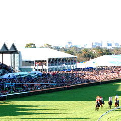 Morphettville SA Accommodation Brisbane