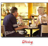 Steelers Club - Accommodation Brisbane