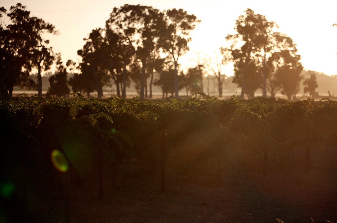 Wilyabrup WA Accommodation Brisbane