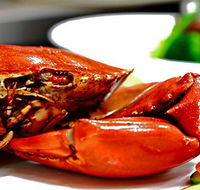 Newquay International Buffet - Accommodation Brisbane
