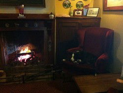Royal Cricketers Arms - Accommodation Brisbane 2