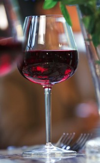 Doma Bohemian Beer Cafe - Accommodation Brisbane 3