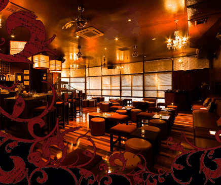 Hippo Lounge Bar - Accommodation Brisbane