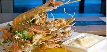 Garfish - Accommodation Brisbane 3