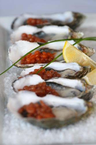 Tha Fish - Accommodation Brisbane 1