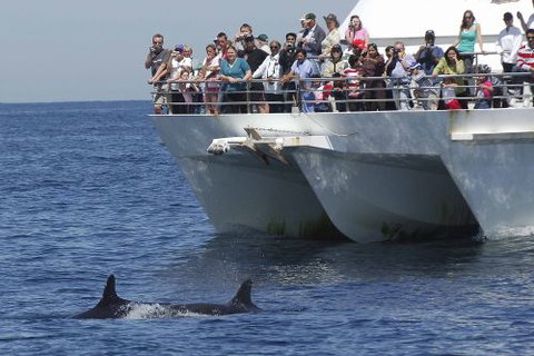 Moonshadow–TQC Cruises - Accommodation Brisbane 0