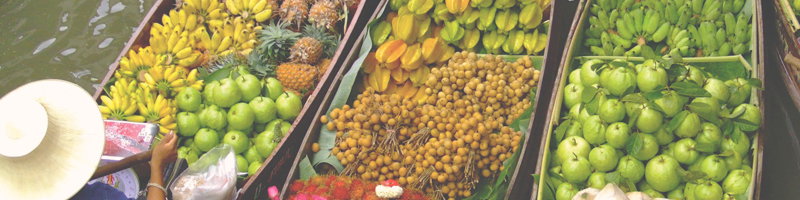 Green Point NSW Accommodation Brisbane