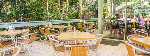 Rainforest Cafe (Sea Acres) - Accommodation Brisbane 1