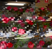 Anglican Spring Flower Show Gundagai - Accommodation Brisbane