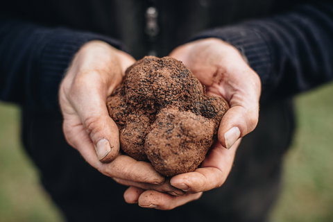 A Taste Of Truffles - Accommodation Brisbane 0