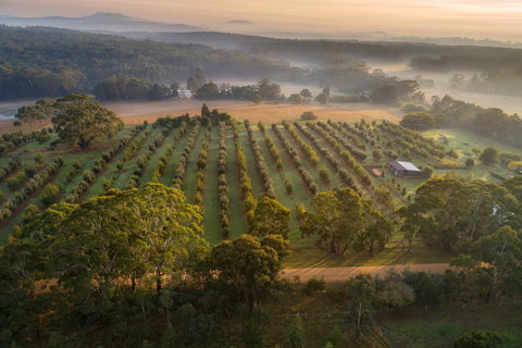 A Taste Of Truffles - Accommodation Brisbane 1