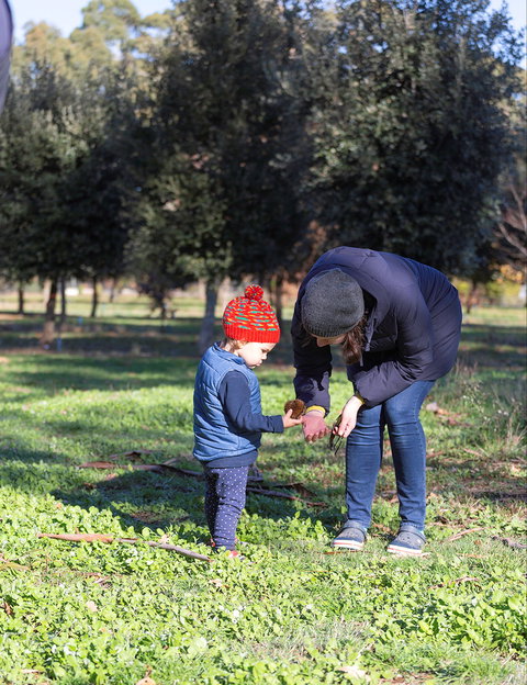 A Taste Of Truffles - Accommodation Brisbane 2