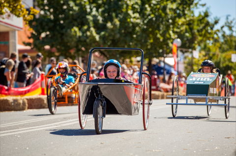 Australian Billy Cart Championships - Accommodation Brisbane 2