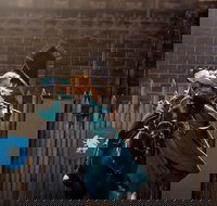 Baroque Horse Festival - Accommodation Brisbane